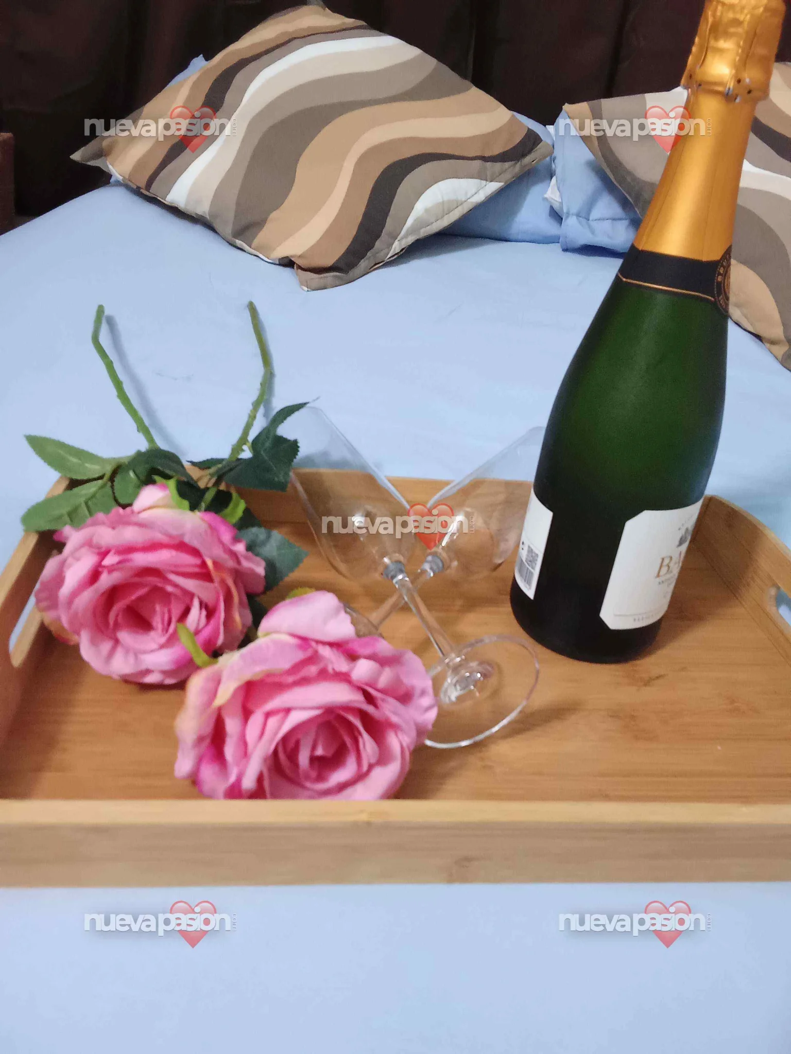 Escort latina delgada en Barcelona