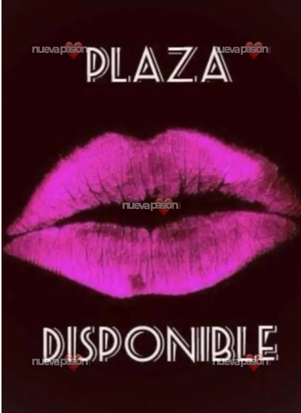 Escort en Madrid
