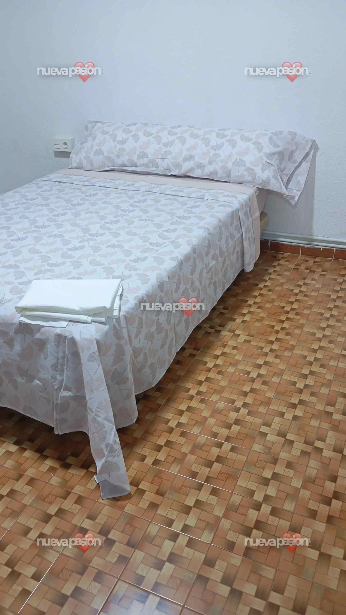 Escort latina curvy en Granada