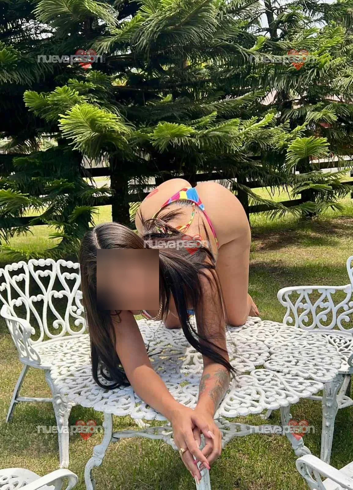 Escort latina curvy en Soria