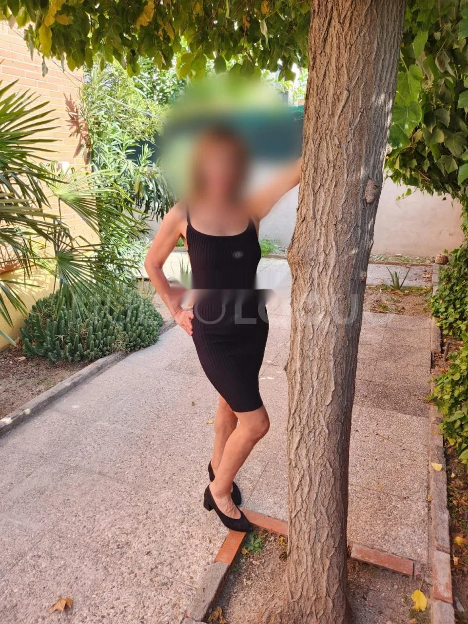 Escort latina curvy en Madrid