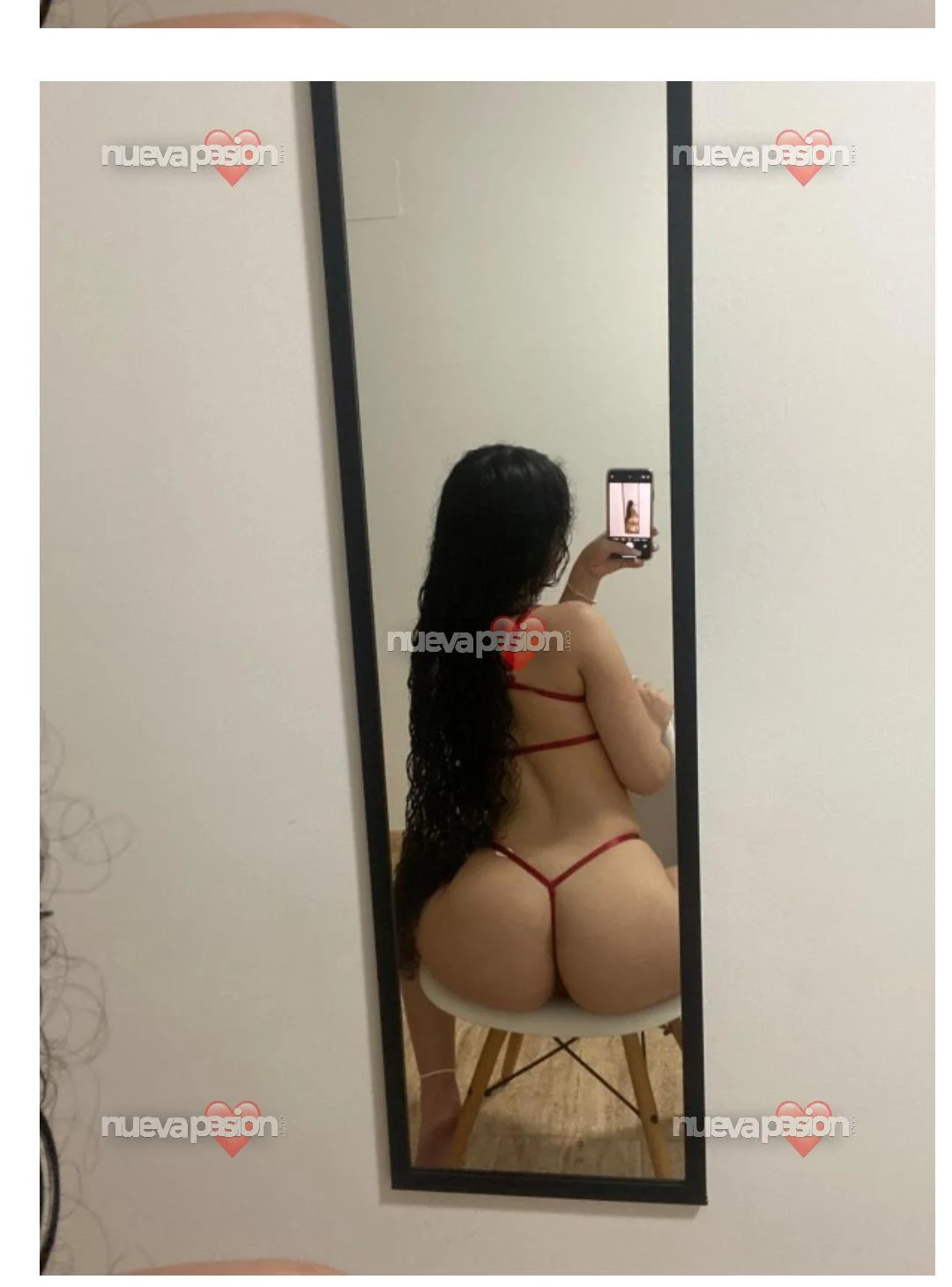 Escort latina curvy en León