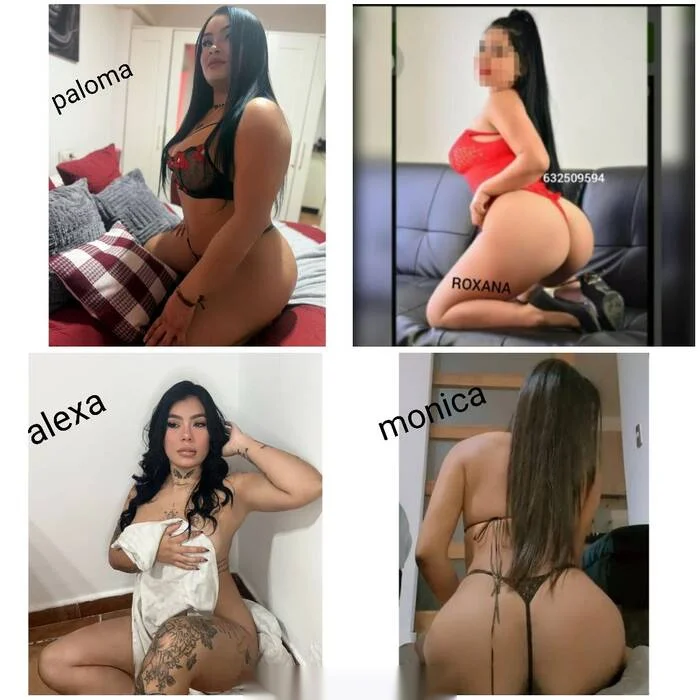 Escort latina curvy en Línea de la Concepción, La
