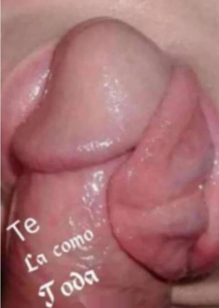 Escort latina delgada en Torrelavega