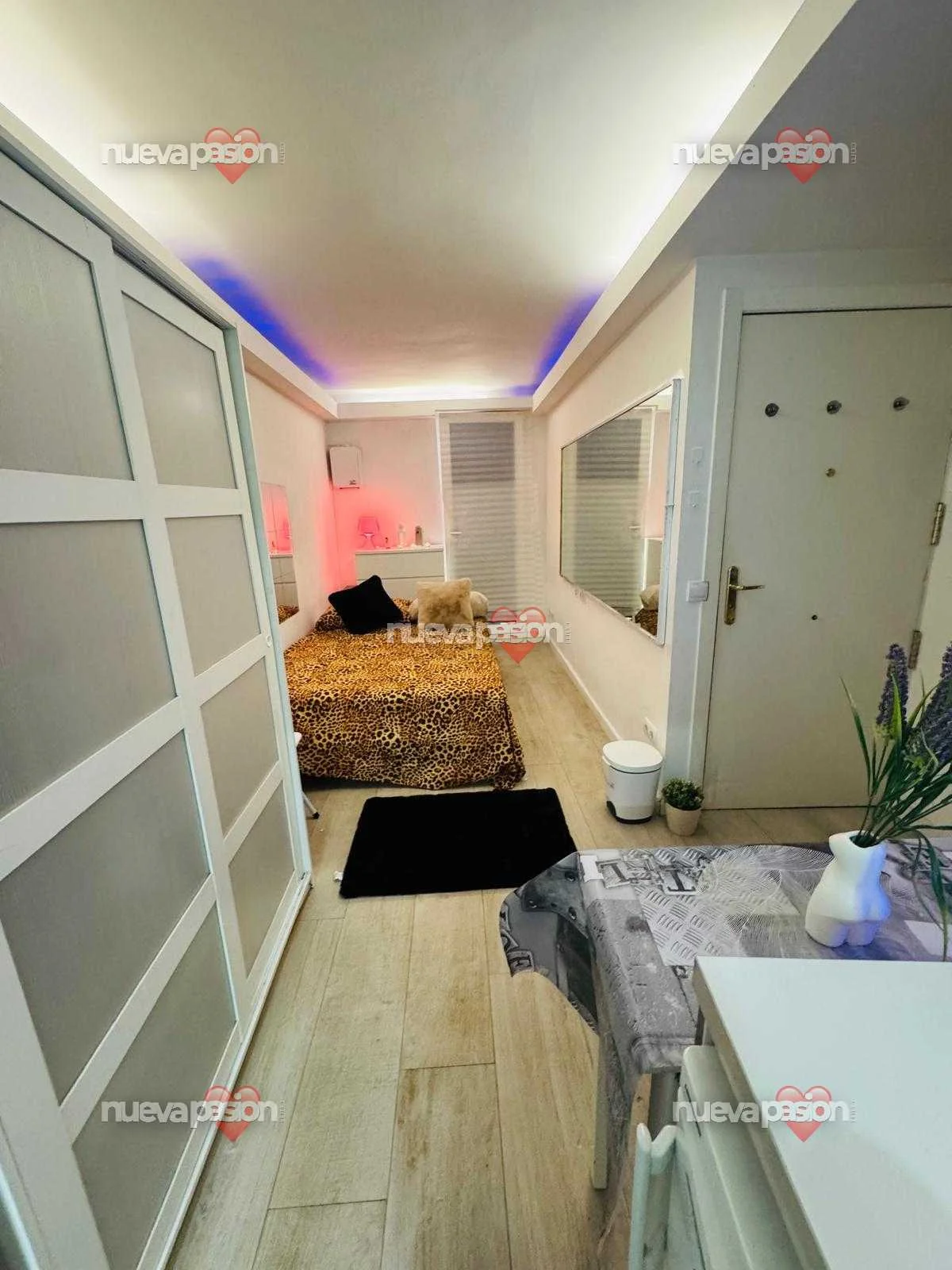 Escort latina curvy en Madrid