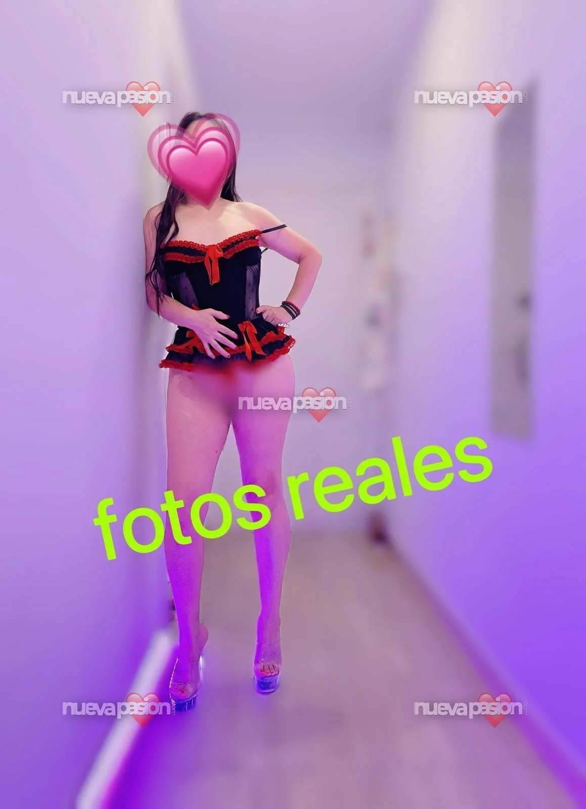 Escort asiática curvy en Santa Cruz de Tenerife