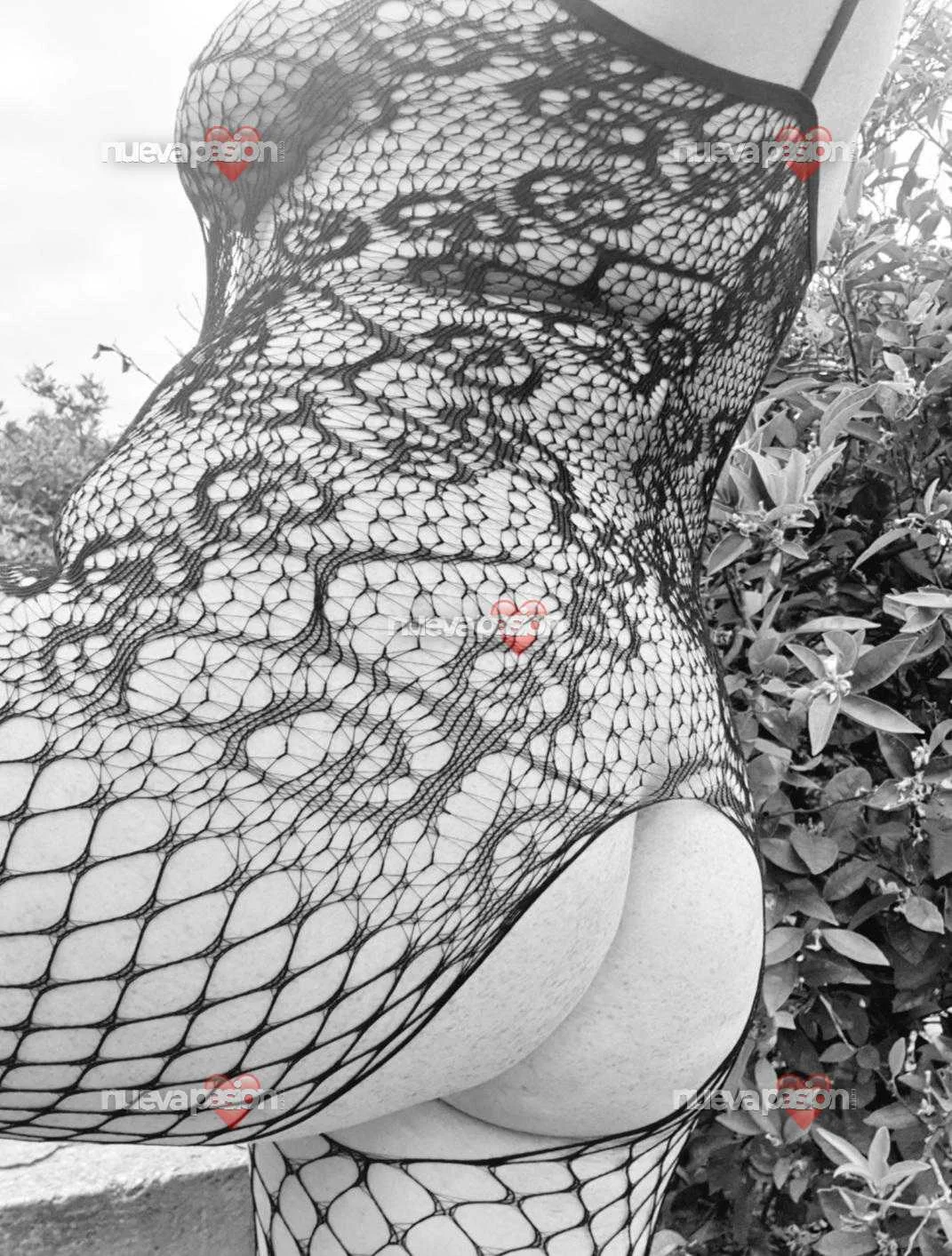 Escort latina curvy en Valencia