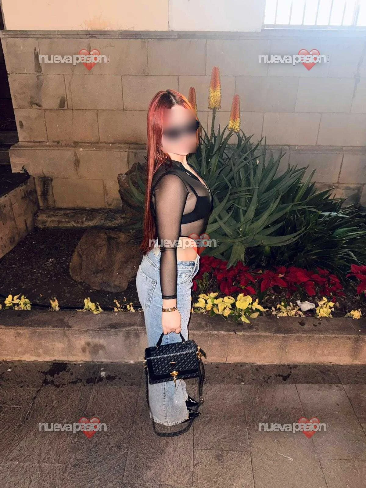 Escort latina curvy en San Cristóbal de La Laguna
