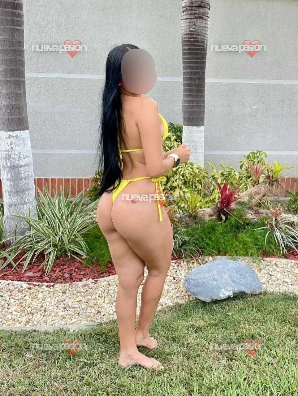 Escort latina curvy en Puerto de la Cruz