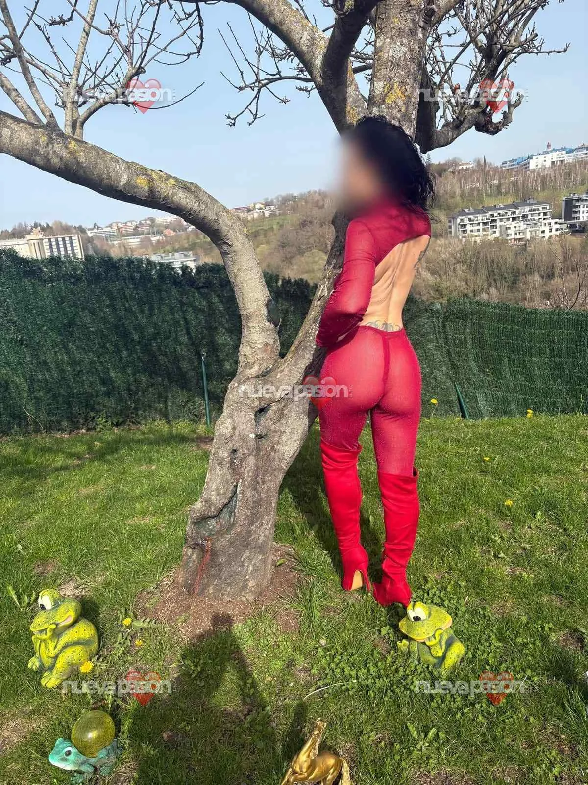 Escort mulata curvy en Bilbao